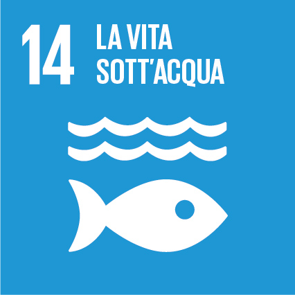 icona dell'obiettivo n.14 dell'agenda ONU 2030 per lo sviluppo sostenibile